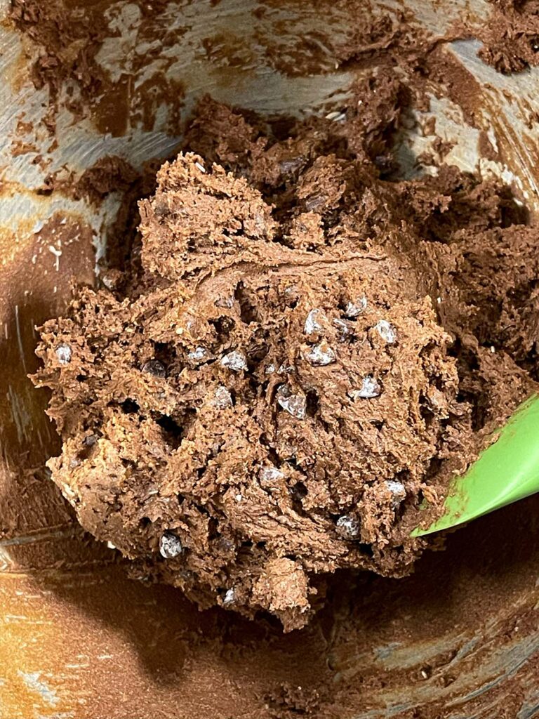 Chocolate chips folded into the chocolate peppermint biscotti batter.