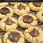 Peanut butter blossoms on wire rack over a parchment paper lined baking sheet.