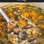 Mushroom barley soup ladled over the pot.
