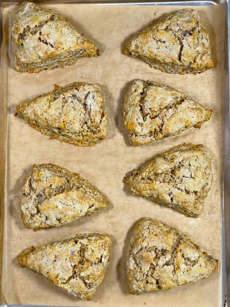Baked scones out of the oven on a baking sheet.