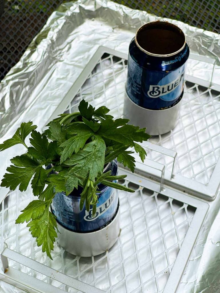 Herbs stuffed into a beer.