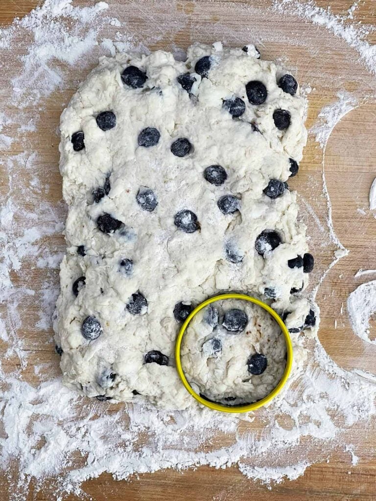 Blueberry biscuit dough cut with a round biscuit cutter.