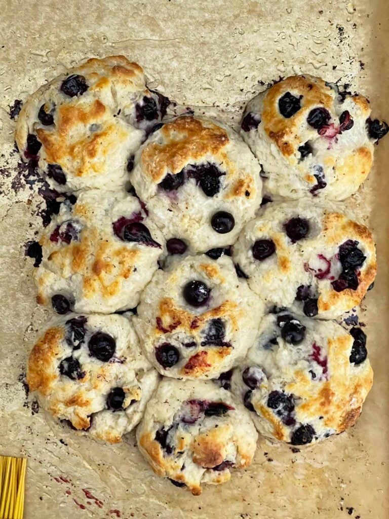 Freshly baked blueberry biscuits golden brown and cooling on a baking sheet.