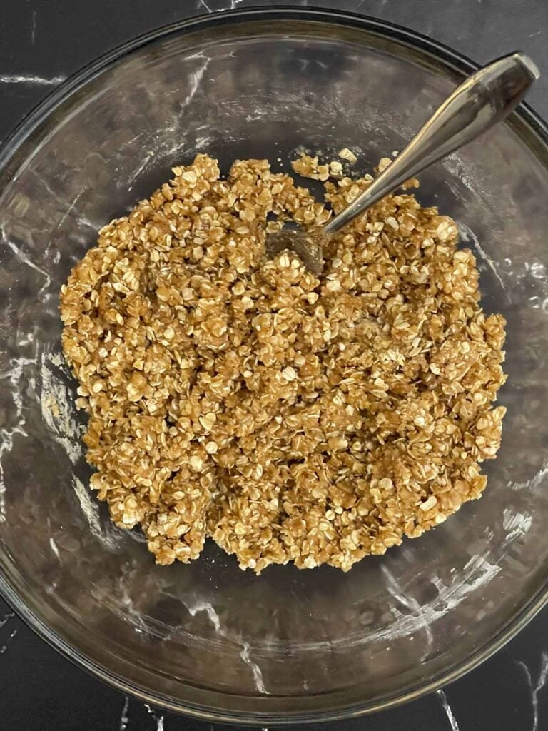 Quick oats, flour, brown sugar, cinnamon, nutmeg, salt, and melted butter mixed together to make the buttery crisp topping.
