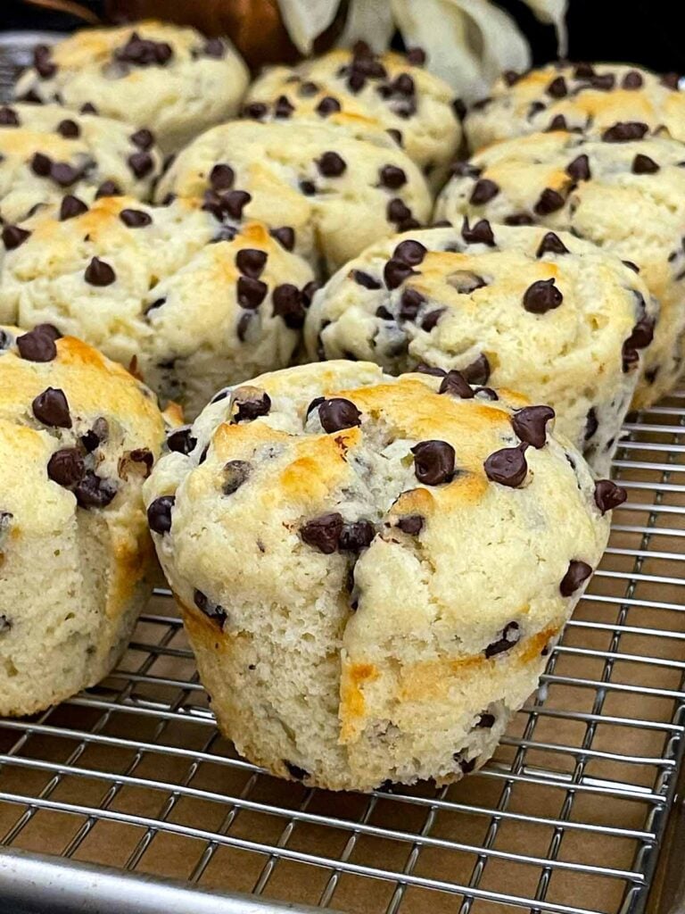 Bakery style chocolate chip muffins with tall golden tops and mini chocolate chips.