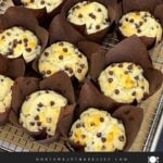 Bakery style chocolate chip muffin with a golden domed top.