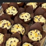 Bakery style chocolate chip muffin with a golden domed top.