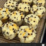 Bakery style chocolate chip muffin with a golden domed top.