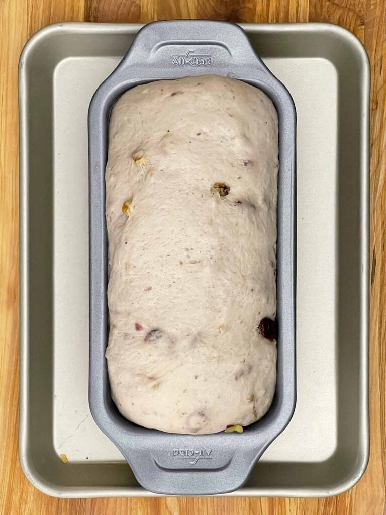 Cranberry walnut bread dough risen in the loaf pan and ready for baking.