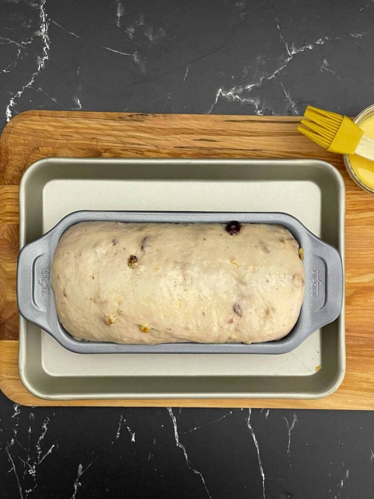 Cranberry walnut bread dough brushed with egg wash before baking.