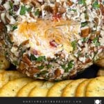 Pimento Cheese Ball coated in chopped pecans and served with crackers.